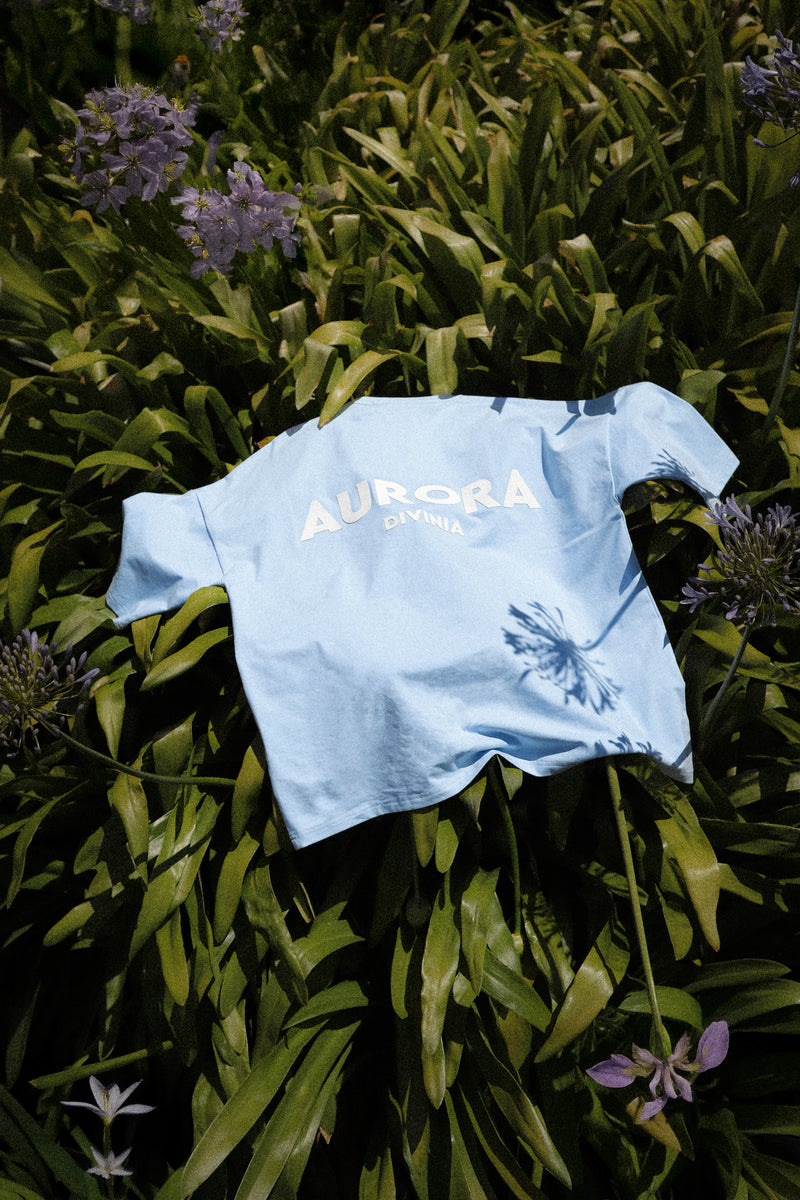 A blue T-shirt with the text 'AURORA DIVINIA' written on it, placed on a bed of green leaves and purple flowers.