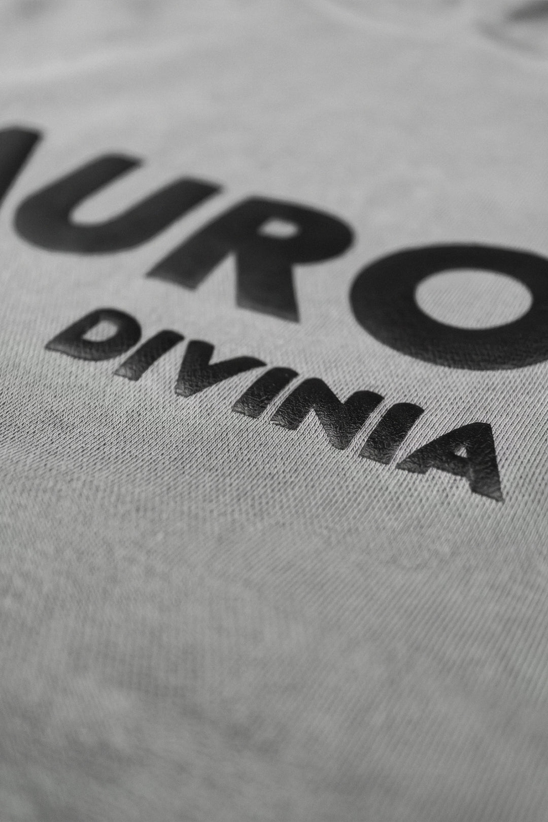 Gray t-shirt with black text 'AURORA DIVINIA' on a close-up view