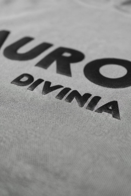 Gray t-shirt with black text 'AURORA DIVINIA' on a close-up view