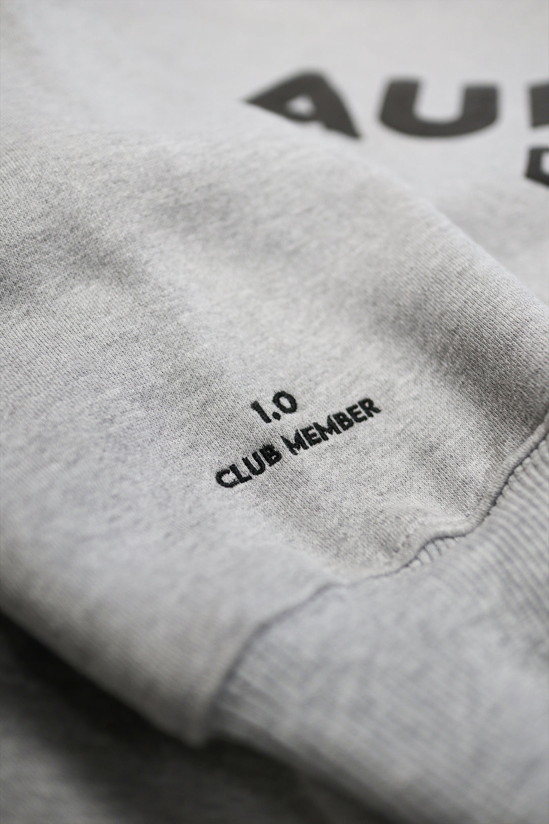 METEOR GREY - AURORA DIVINIA HOODIE