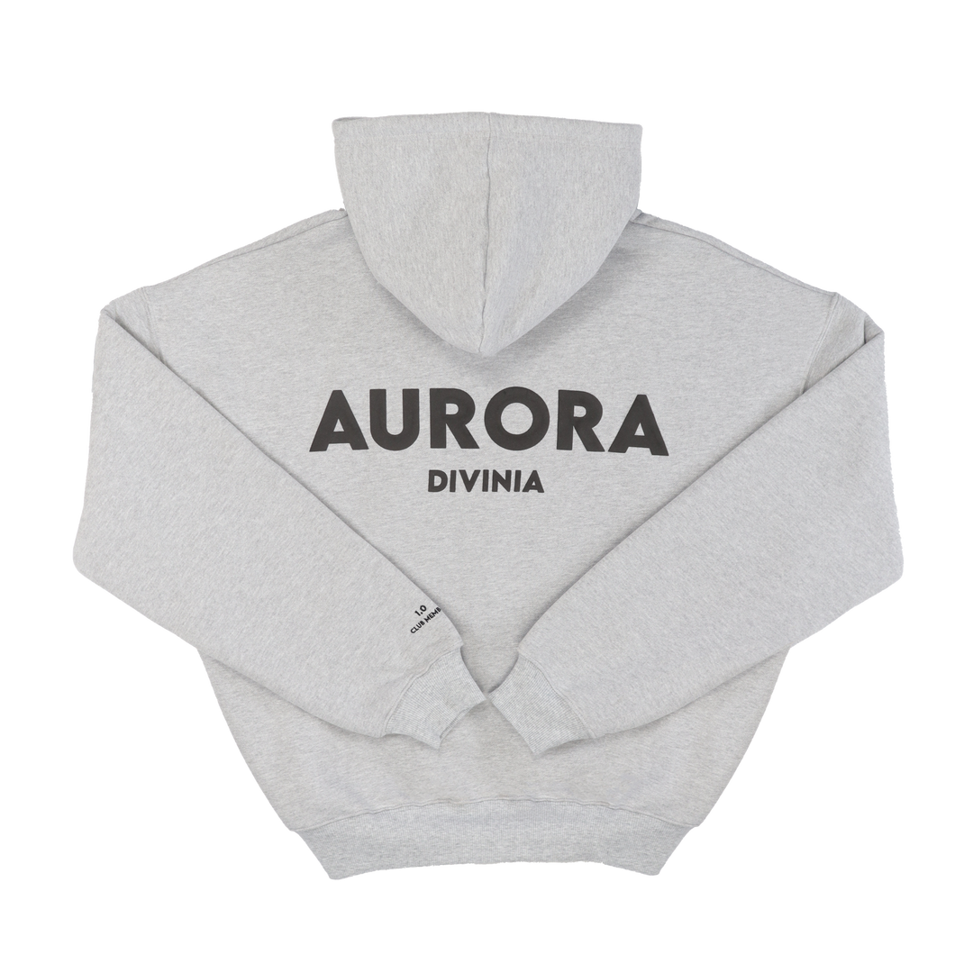 METEOR GREY - AURORA DIVINIA HOODIE