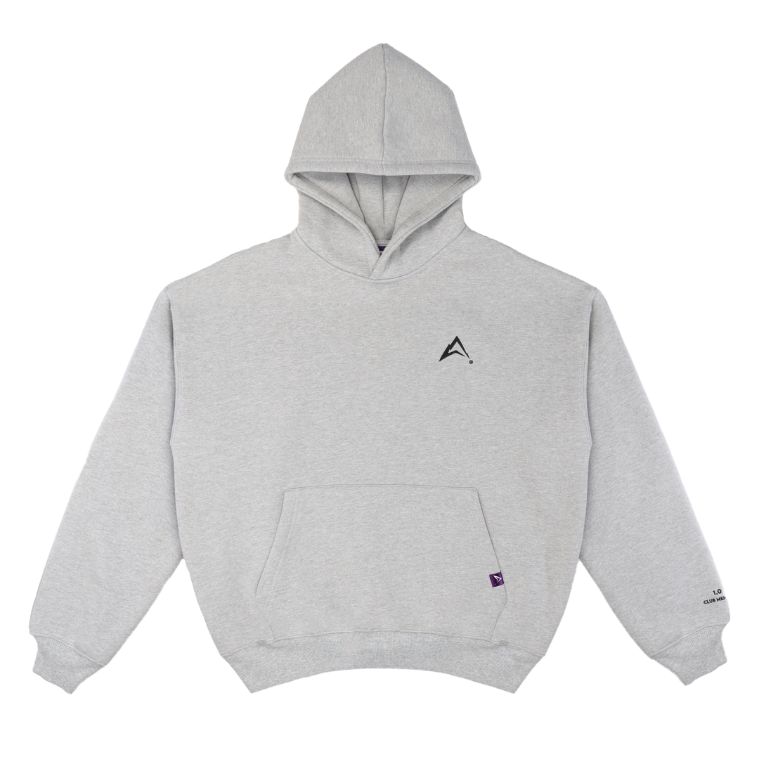 METEOR GREY - AURORA DIVINIA HOODIE